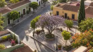 Paisaje urbano ilustrativo para los trámites de Jalisco
