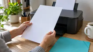 Constancia de Situación Fiscal, escena ilustrativa.